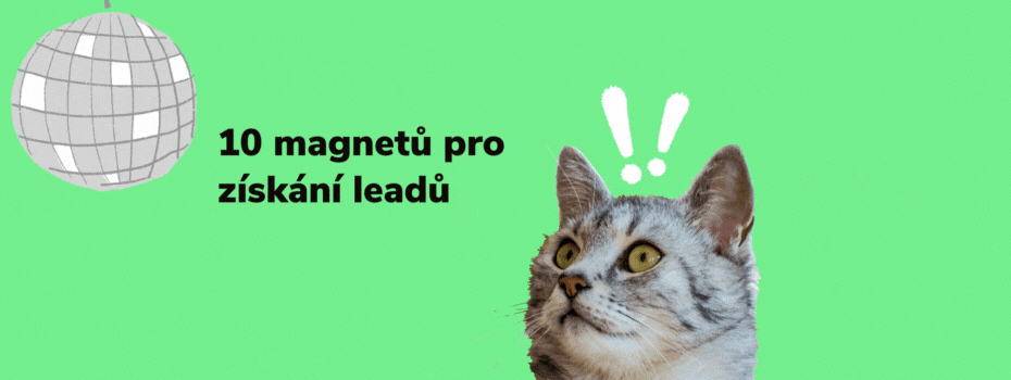 10 magnetů pro získání leadů