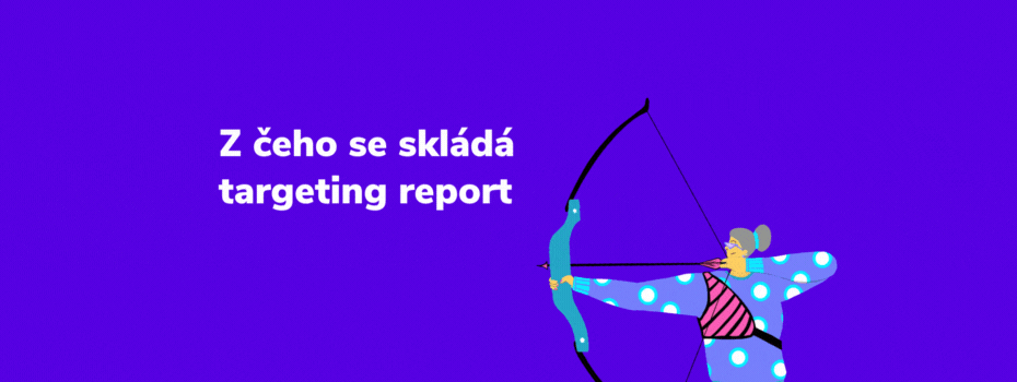 Z čeho se skládá targeting report