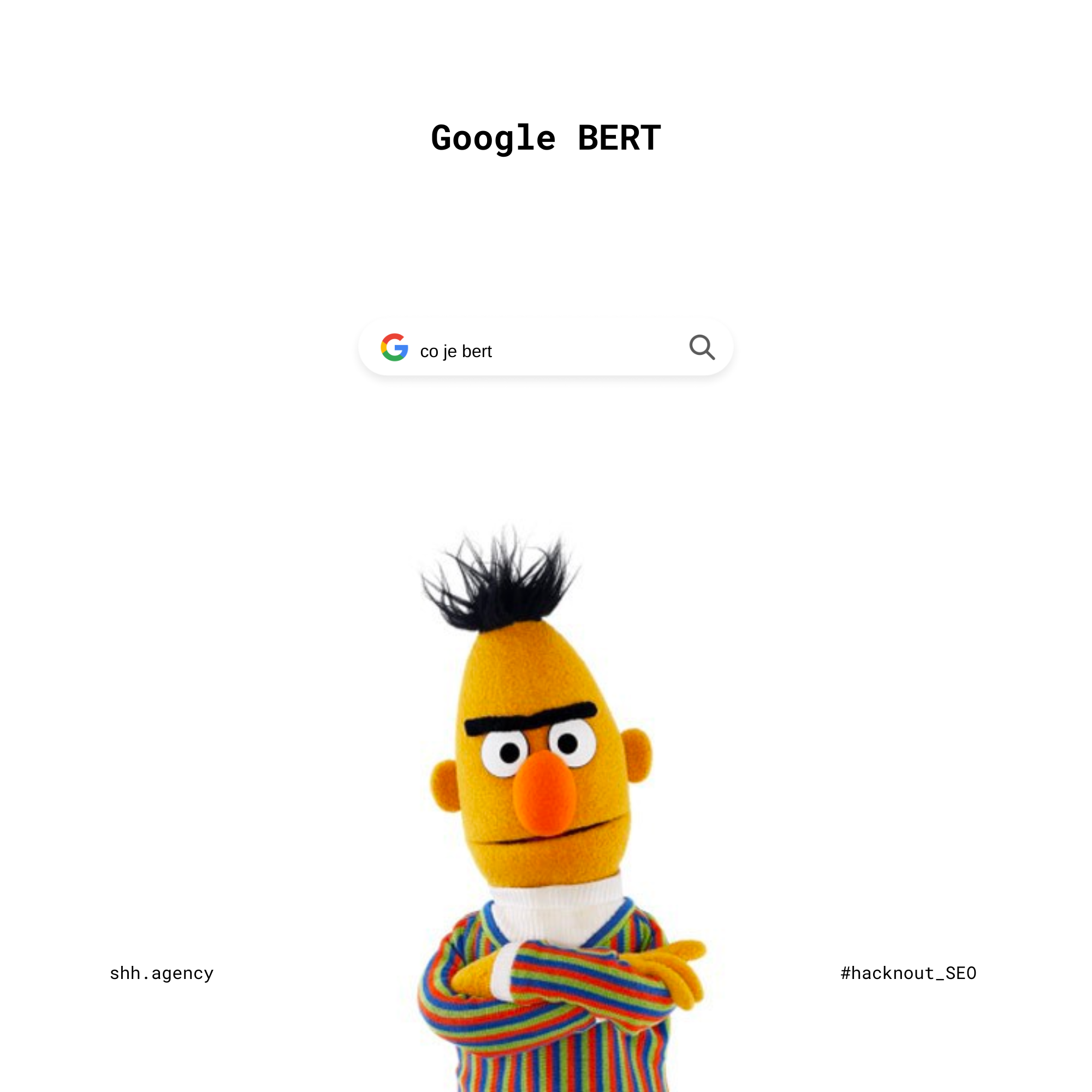Google BERT shh.agency 